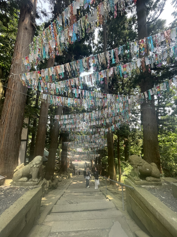 南陽市