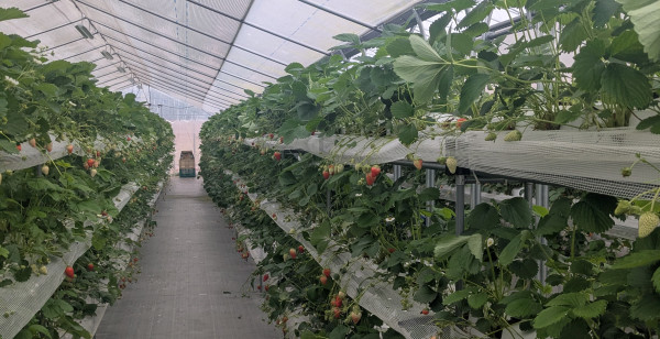 堺・岸和田・関西空港