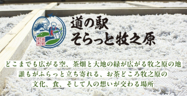 焼津・藤枝・御前崎