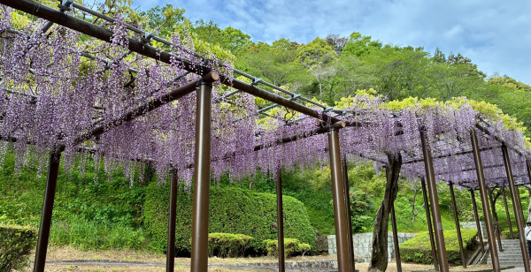 焼津・藤枝・御前崎