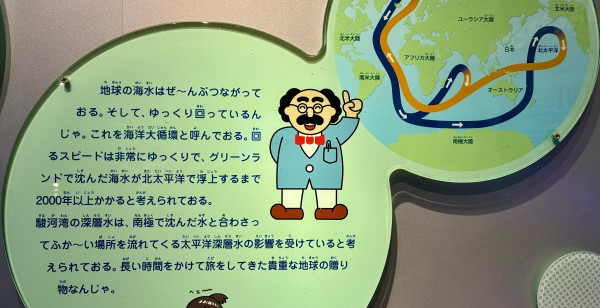 焼津・藤枝・御前崎