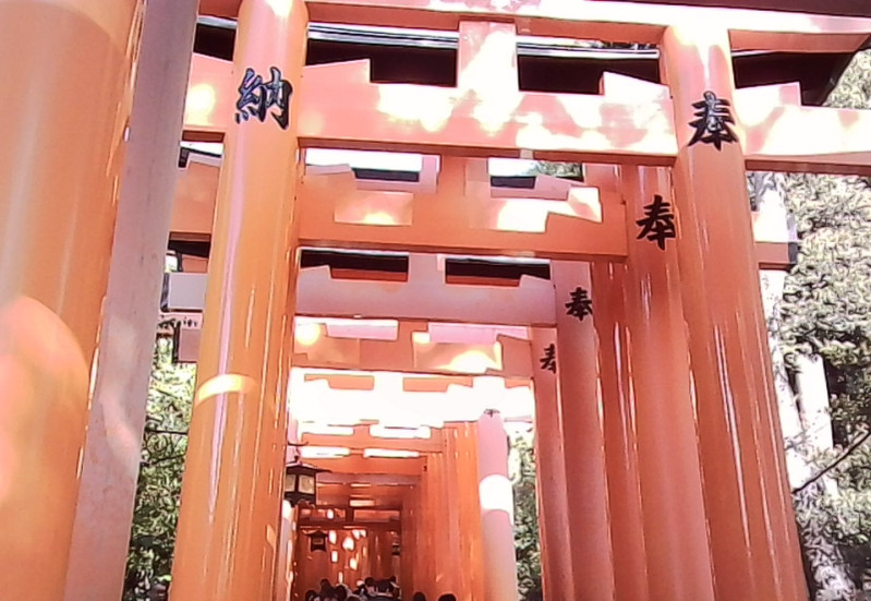 京都市
