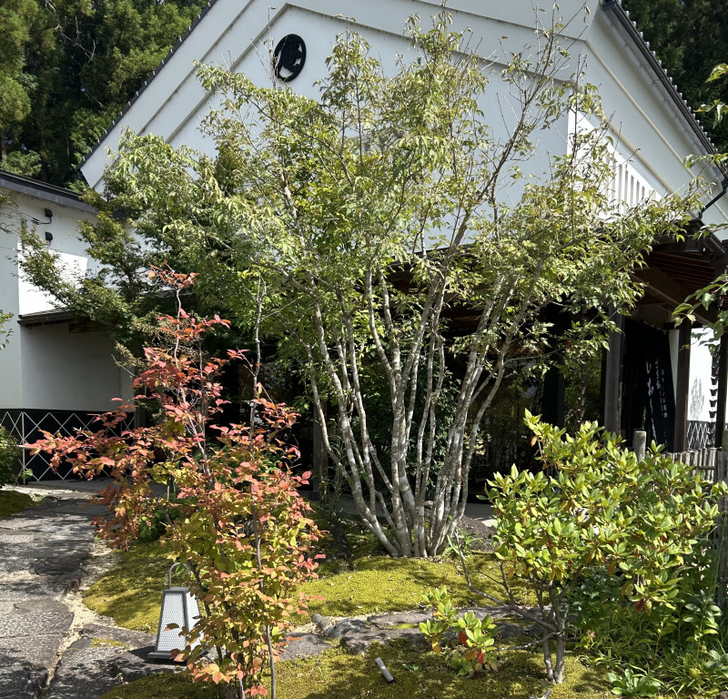 つくば市