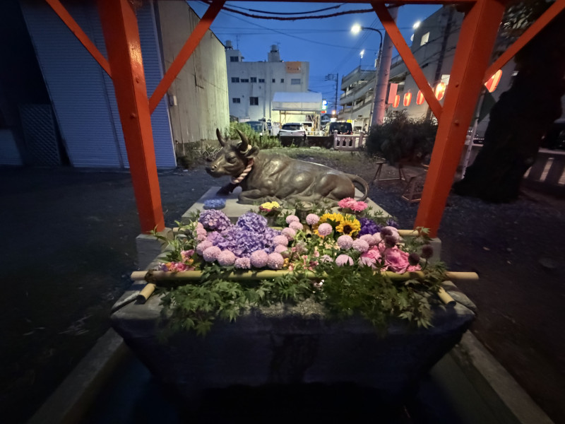 おおい町