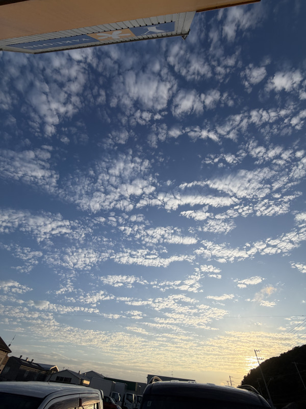 石巻市