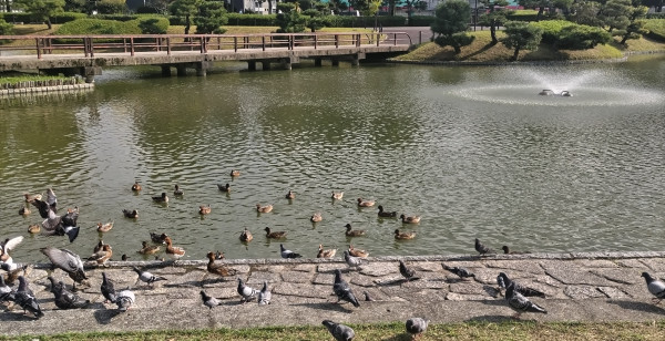 山口市・湯田・防府