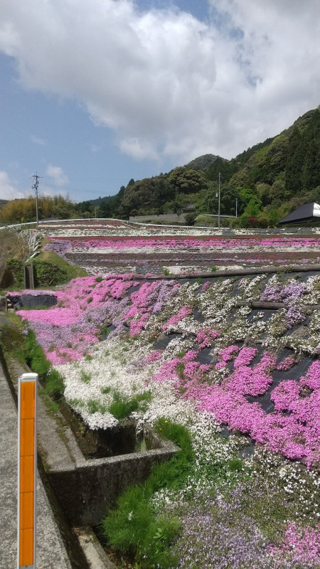 山口市