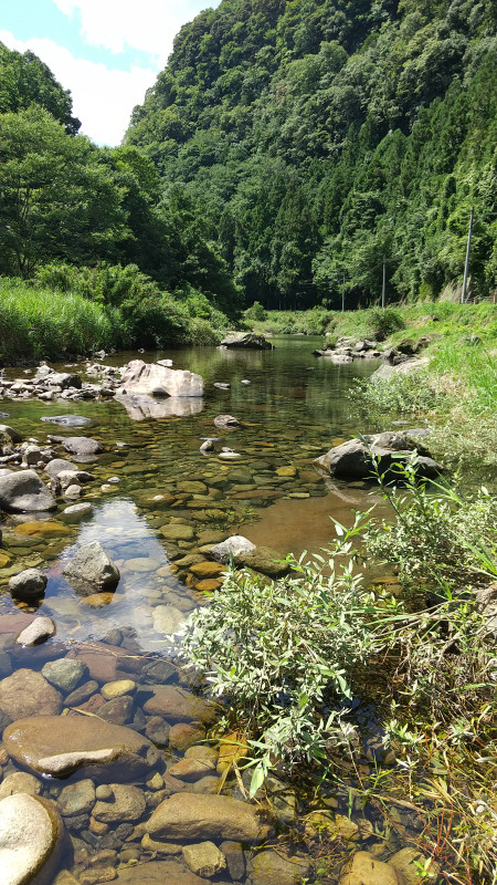山口市