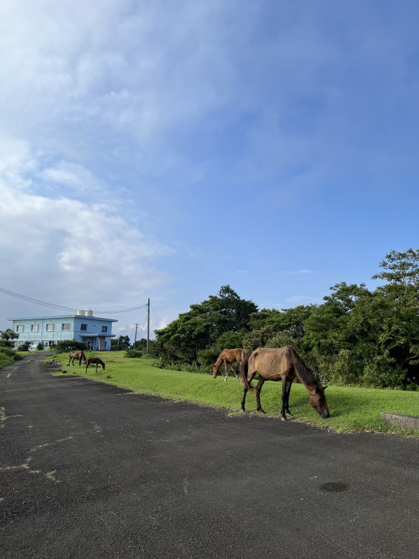 串間市
