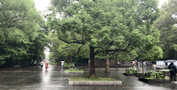 上野・浅草・両国
