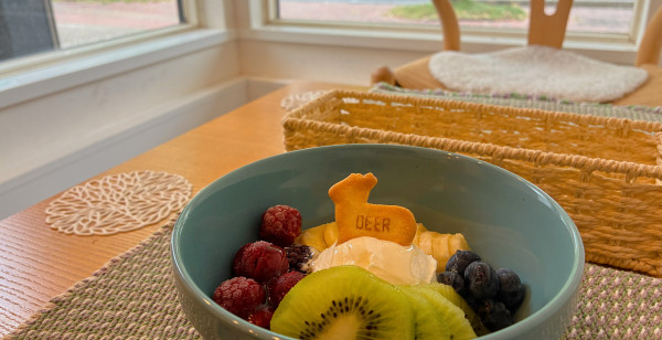 佐賀市・古湯・熊の川