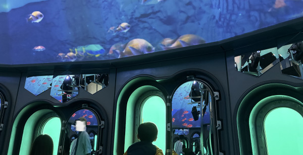 唐津・呼子・玄海