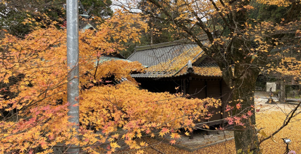 佐賀市・古湯・熊の川