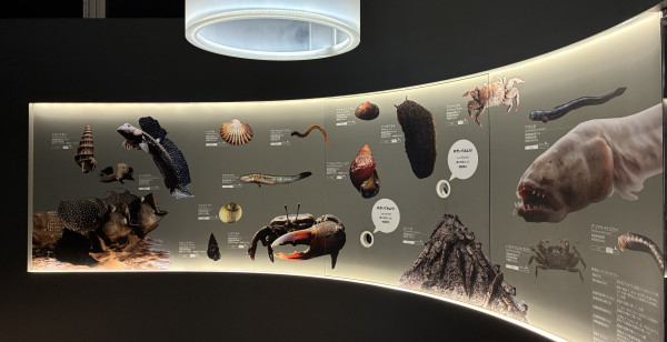 佐賀市・古湯・熊の川