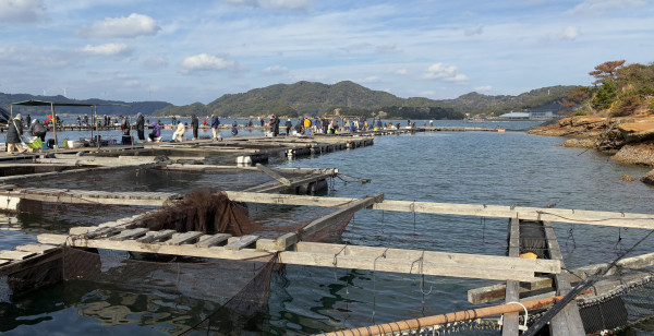 唐津・呼子・玄海