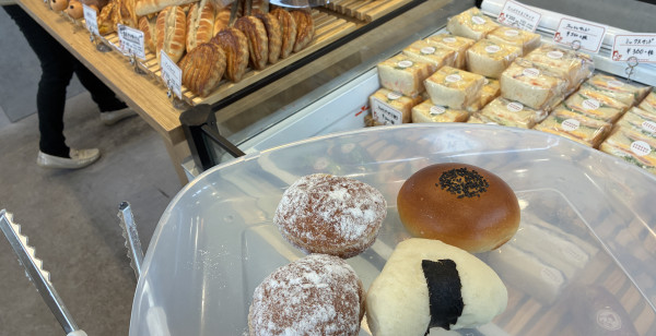 佐賀市・古湯・熊の川