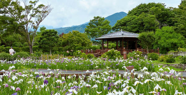 佐賀市・古湯・熊の川