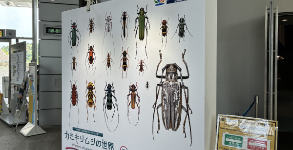 嬉野・武雄・太良