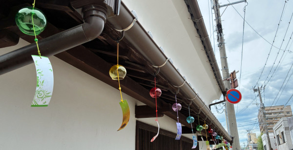 佐賀市・古湯・熊の川