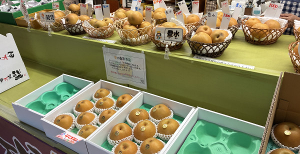 伊万里・有田