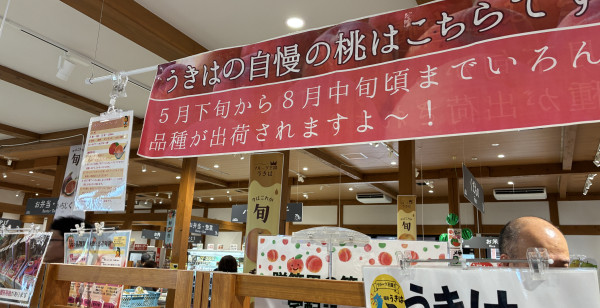 久留米・筑後・八女