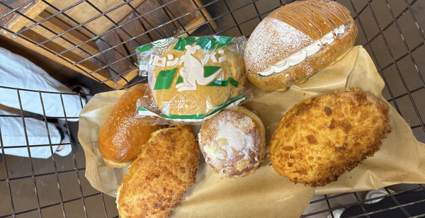 佐賀市・古湯・熊の川