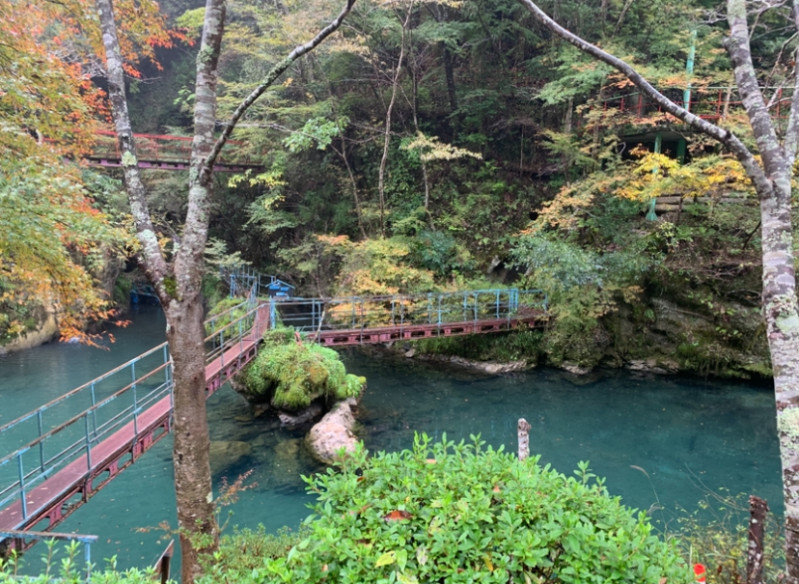 津野町