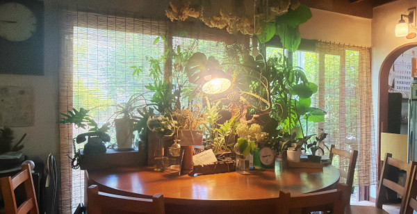 静岡市・清水
