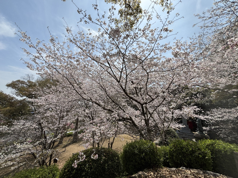 小城市