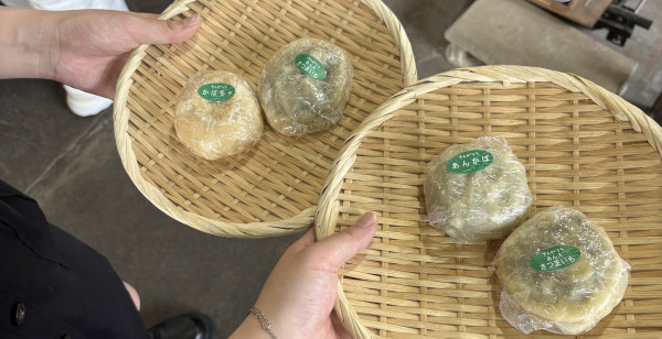 長野市・小布施・高山