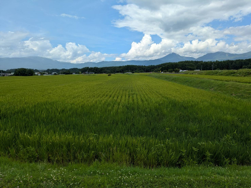原村