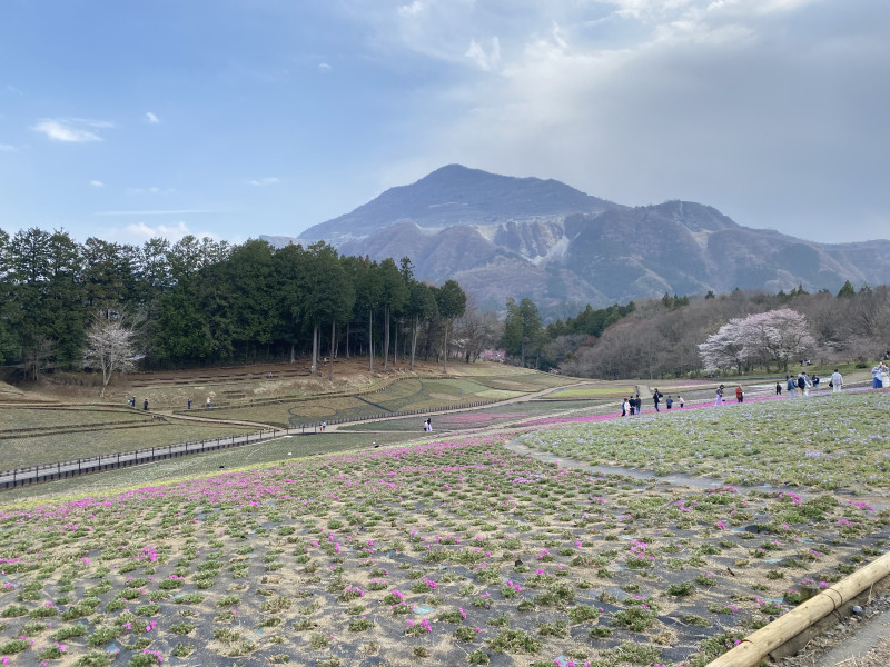 秩父市