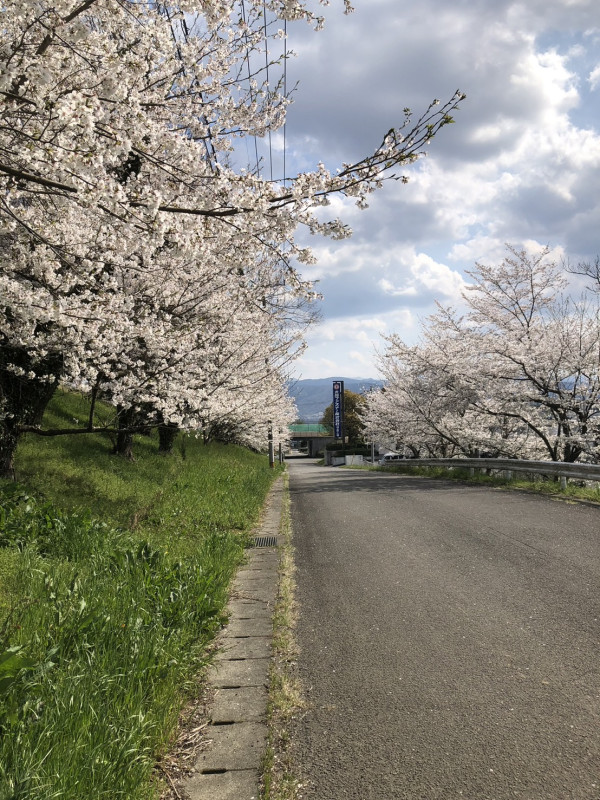阿波市