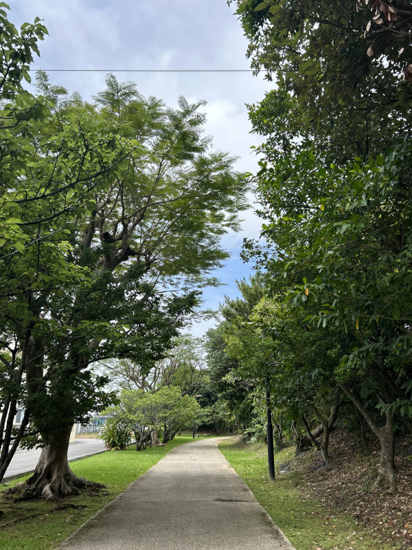 沖縄市