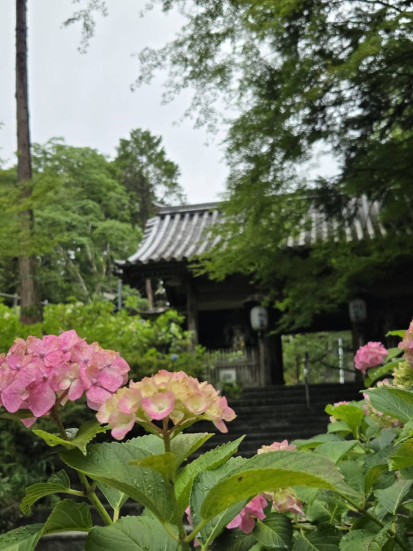 阿波市