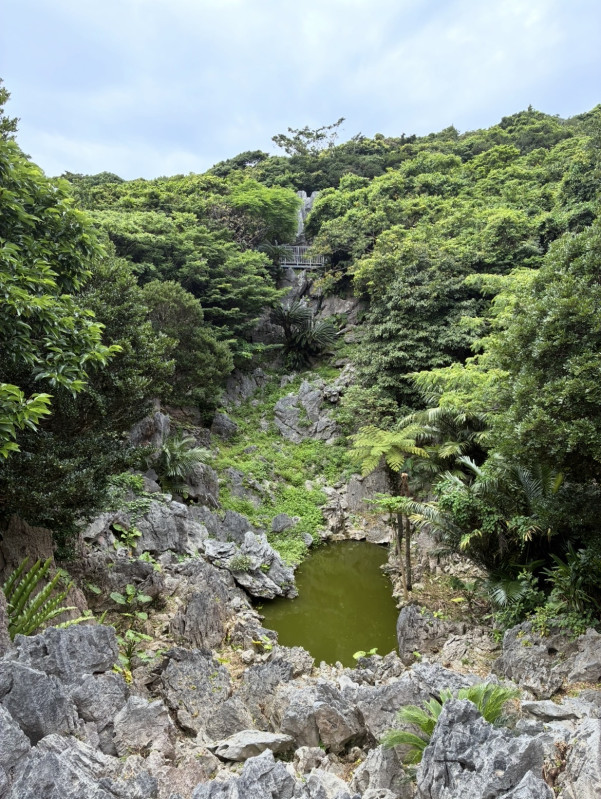 国頭村