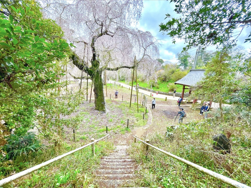 四街道市