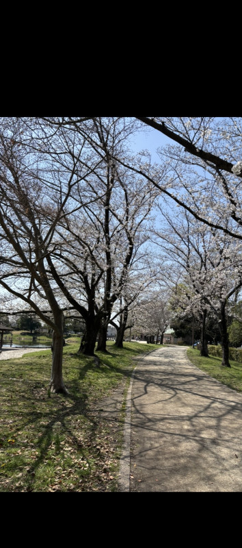 蓮田市