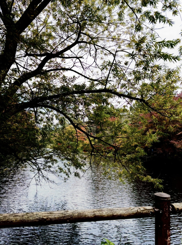 軽井沢町