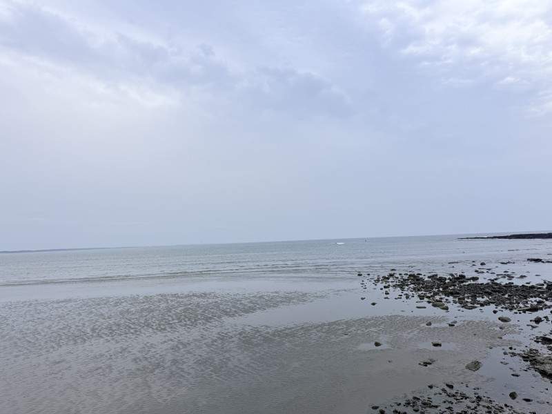 宮崎市