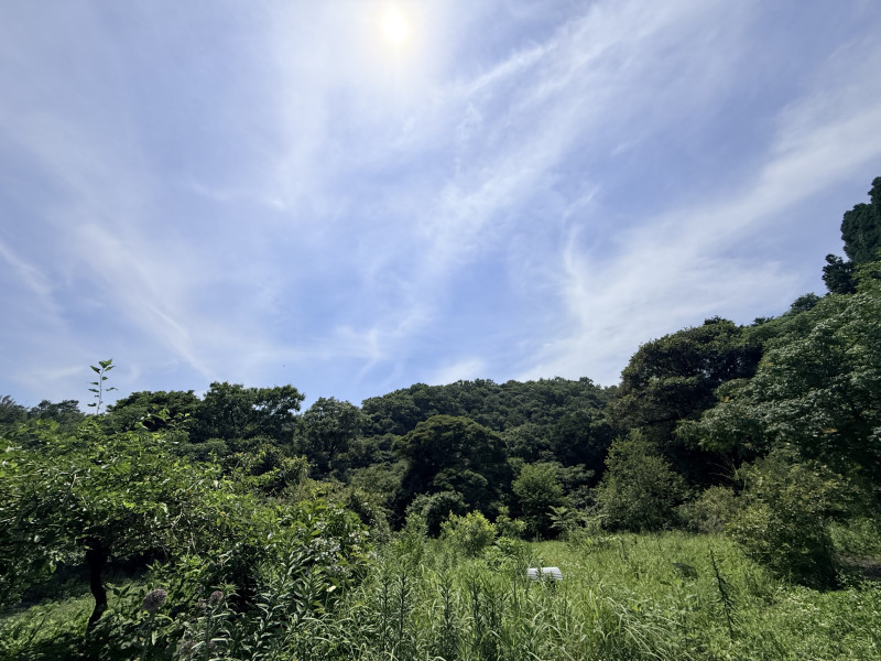 日向市