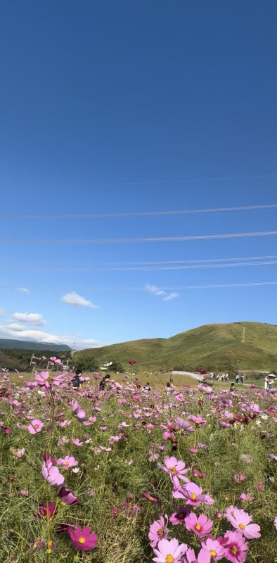 西原村