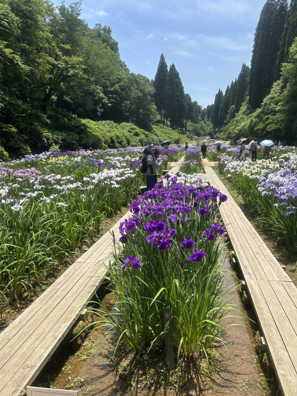 砺波市