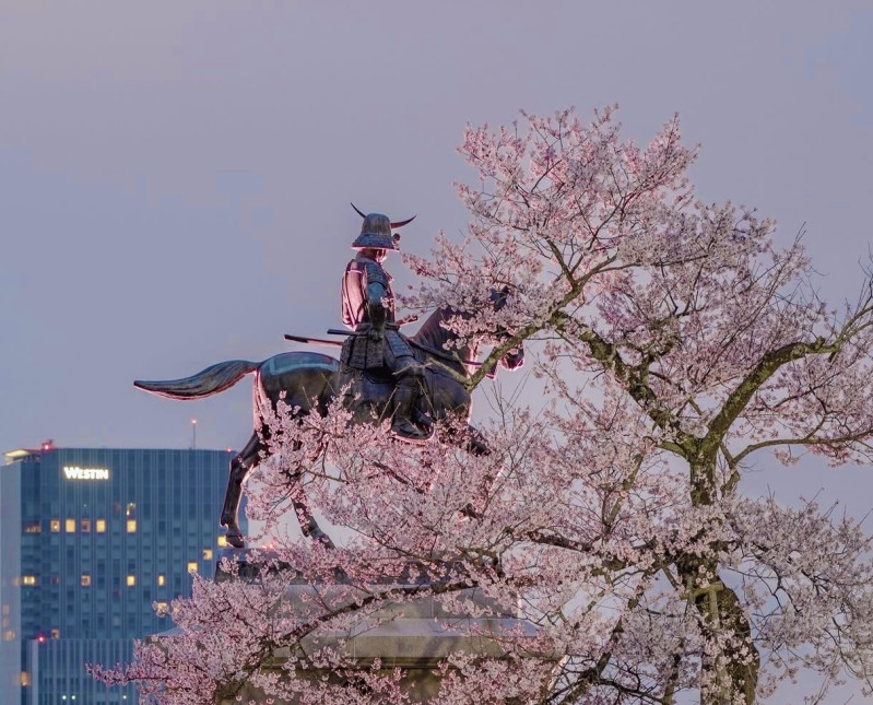 仙台市