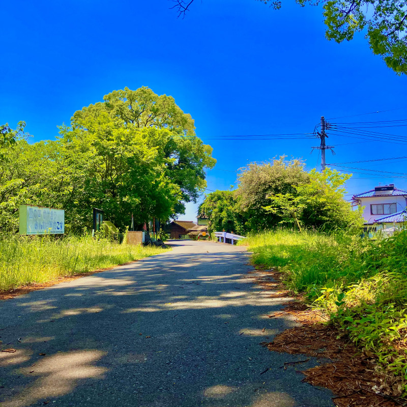 熊本市