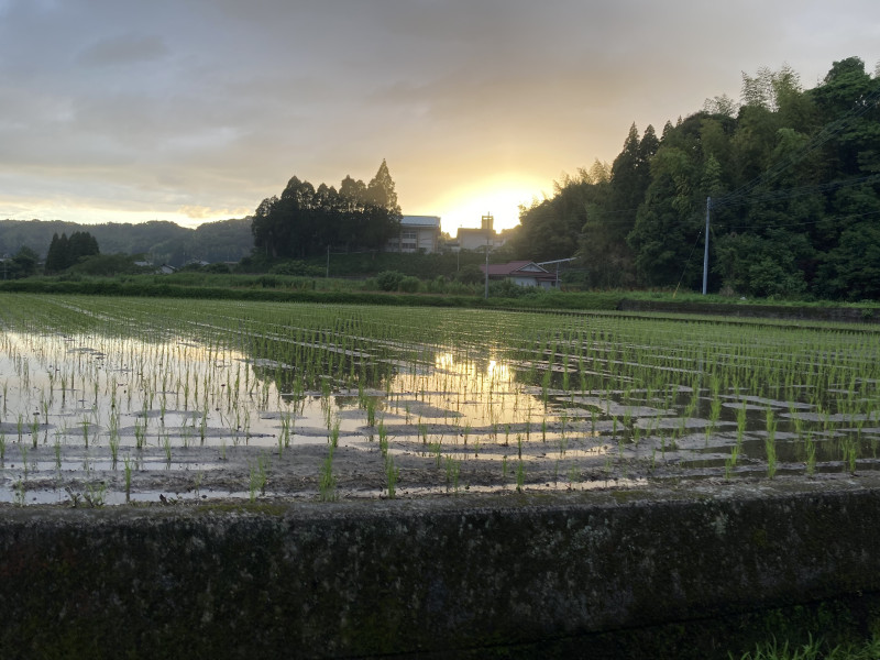 鹿児島市