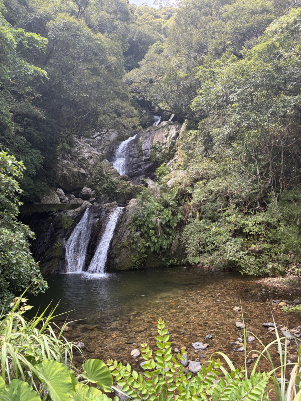 宇検村
