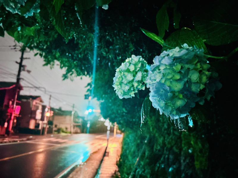 高知市