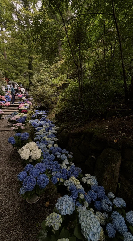 明日香村