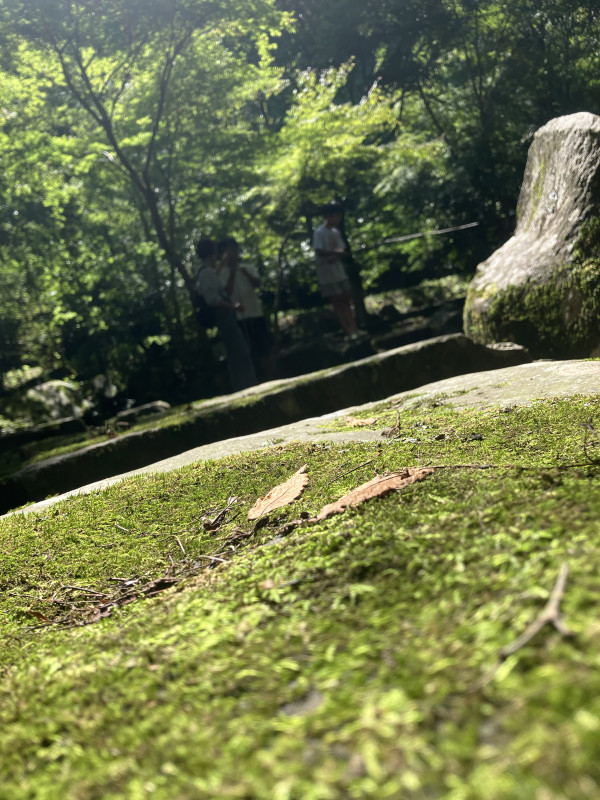 大洗町